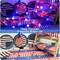 4th of July Lights Battery Operated, Red White and Blue Lights with Timer Outdoor Waterproof
